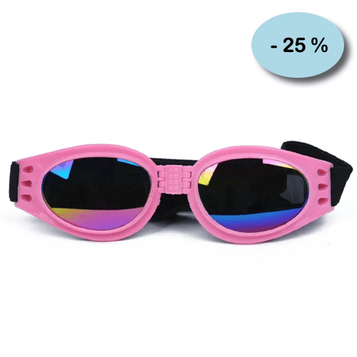 Chihuahua Accessory: Foldable Glasses