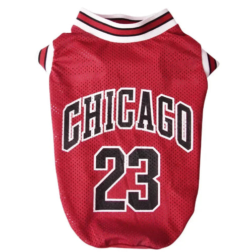 Jordan Chihuahua NBA Jersey