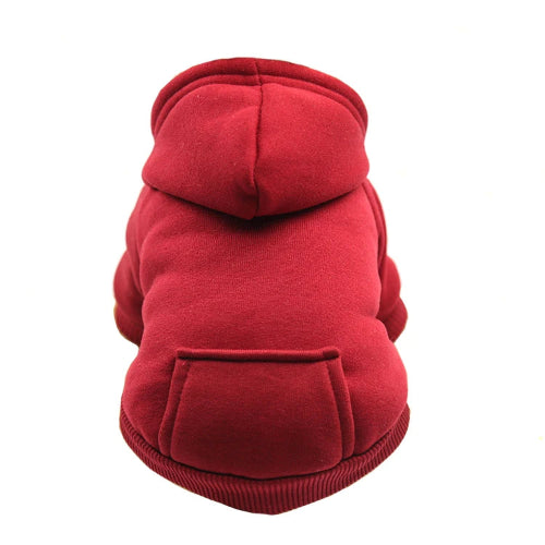 Chihuahua Sweater: Hood
