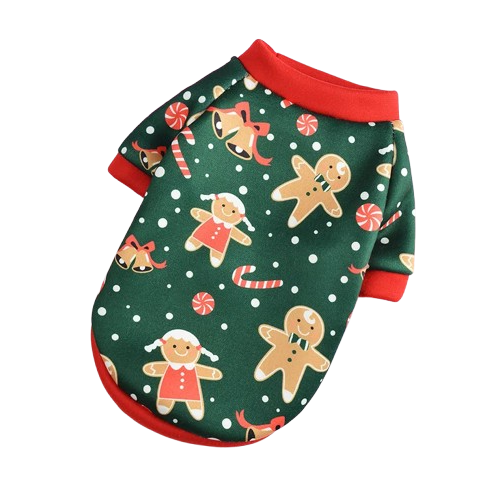 Chihuahua Pullover: Weihnachten