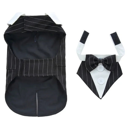 Déguisement Chihuahua : costume smoking noir a rayures confortable et tendance, parfait pour les fêtes, évènements, anniversaires ou halloween – taille parfaite pour les petits chiens
